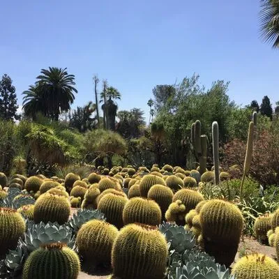 The Huntington Library, San Marino, CA